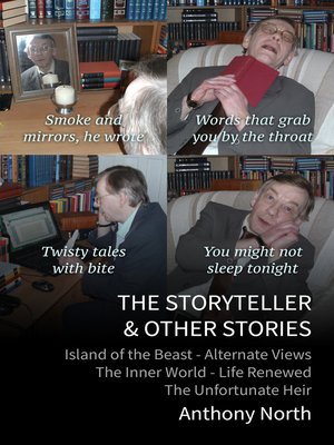 cover image of The Storyteller & Other Stories